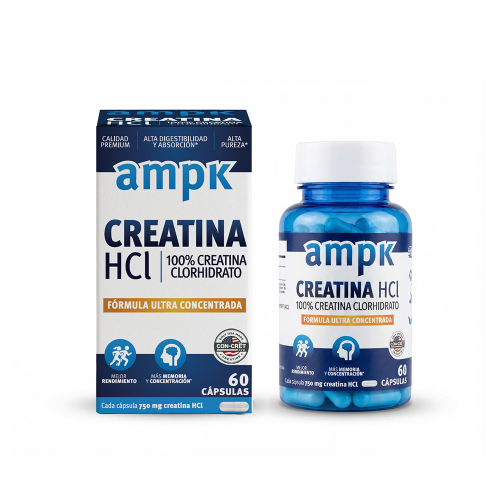 AMPK CREATINA HCL